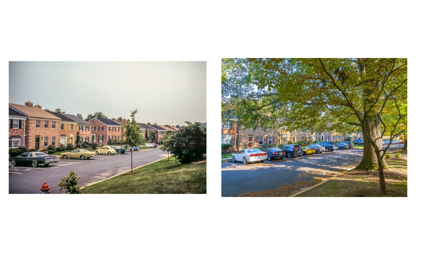 Stonehurst HOA Stonehurst turns 50!!!